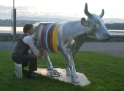 Cow photo competition winner, Geneva Switzerland